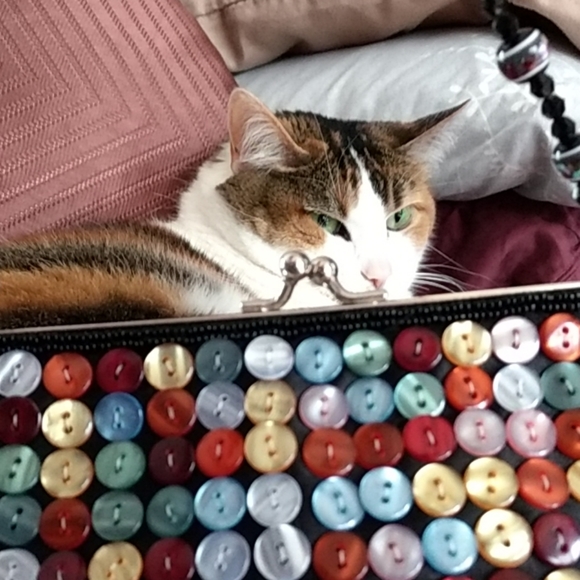 Button button who's got the.... Button?!clutch - Picture 4 of 6